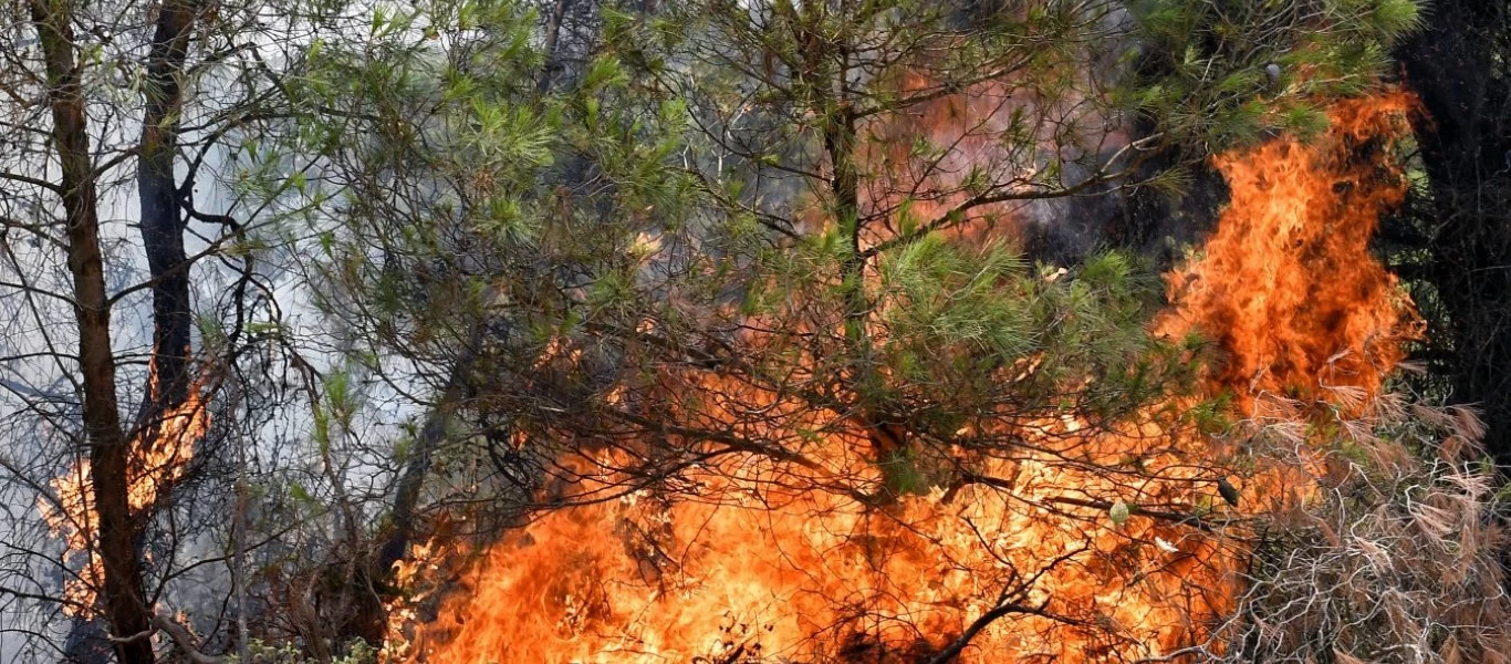 Στις φλόγες η Αχαΐα: «Τους έφυγε η φωτιά»- Κάηκαν σπίτια και εκκενώθηκαν χωριά - 5 άνθρωποι στο νοσοκομείο (upd)